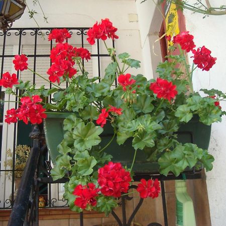 Casa Babylon Backpakers Hostel Малага Екстер'єр фото